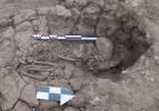 Tozkoparan Höyüğü'nde 5 bin 500 yıllık çocuk iskeleti bulundu