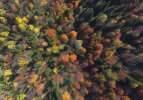 Düzce'nin yaylalarında sonbahar güzelliği