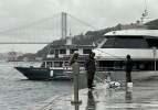 Arnavutköy sahilini denizanaları bastı
