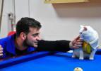 Donmak üzereyken bulunan kedi, gençlik merkezinin maskotu oldu