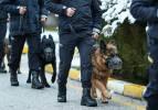 Operasyonların "gizli kahramanı" dedektör köpekler