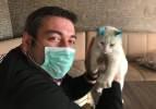 Kulakları kesilen kediye hayvanseverler sahip &ccedil;ıktı