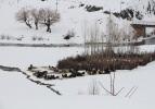 Karlıova'da ev ve ahırlar, kar altında kaldı