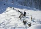Kar kalınlığının 1,5 metreyi bulduğu Ovacık'ta besicilerin zorlu mesaisi