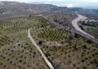 Muğla'da termik santralin maden sahasına 1,5 milyon fidan dikildi