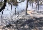 Fethiye'deki yangın kısmen kontrol altına alındı