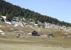 Başkent’in Karadeniz’i aratmayan yaylaları