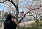 New York'ta ilkbahar