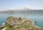 Akdamar Adası badem ağaçlarının çiçekleriyle renklendi