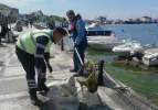 Silivri Sahili'nde deniz çöplüğe döndü