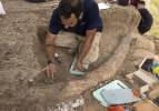 İsrail'de 500 bin yıllık dev fildişi keşfedildi