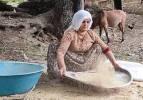 Bitlis’te geleneksel yöntemlerle pirinç hasadı yapılıyor