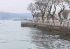 Boğaz'da dikkat çeken görüntü! Her geçen gün çoğalıyor