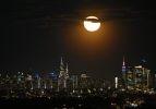 New York'ta Çiçek Dolunayı görüntülendi