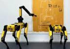 Robot köpek ressam oluyor!