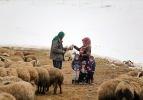 Vanlı çift tüm kışı tek başına geçiyor: "Bu hayata alıştım"