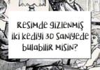 Resimde gizlenmiş 2 kediyi 30 saniyede bulabilir misiniz?