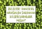 Bezelye taneleri arasında saklanan kediyi kaç saniyede bulabilirsiniz?