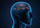 2025 IQ test listesi! İlk sırayı alan şehir herkesi şaşırttı