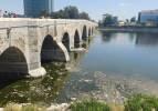 Seyhan Nehri'ndeki kirlilik İzmir Körfezinden bile beter! 