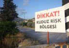 Hatay'da 4 mahalle kuduz karantinasına alınmıştı: Yeni gelişme var! 