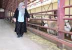 Aldığı devlet desteğiyle 103 koyunu 800 başa &ccedil;ıkarttı 