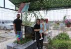 Kabirde ahlaksızlık! Ardı arkası kesilmedi: Aile mezarın etrafını &ccedil;itle &ccedil;evirdi