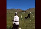 Hedefini şaşıran kaya kartalı k&ouml;peği avlamak istedi