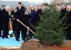 Erdoğan'ın diktiği ağaca anlamlı isim