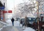 -29,3 derecede hayat