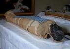 2500 yaşındaki mumya tabuttan &ccedil;ıktı!