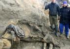 30 bin yıllık mamut iskeletini o buldu