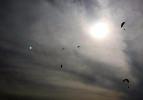 'Silivride görünen UFO'yu Fethiye'de fotoğrafladık'