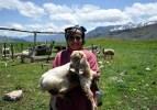 Tunceli halkı yaylalara g&uuml;venle &ccedil;ıkmak istiyor