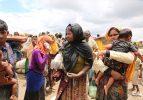 İşte Arakan'da uygulanan ihlaller