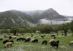 Doğu Karadeniz'de 2 mevsim bir arada