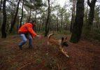 Arama kurtarma köpeklerinin zorlu sınavı