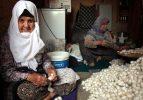  40 günde 5 bin 500 lira kazandırıyor