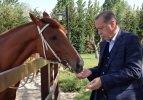 Erdoğan'ı daha önce böyle görmediniz