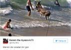 Yurdum insanı ve memlekette sıradan 30 gün