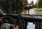 Volvo'nun göz kamaştıran sedanı 'S90'