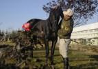 JAKEM'de eğitilen atların bir g&uuml;n&uuml;