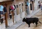 İspanyada boğa festivali