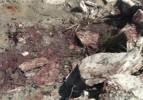 PKK'lı teröristler bu vadide öldürüldü
