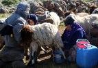 Diyarbakırlı göçerlerin ramazan mesaisi