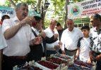 Kültür Kiraz ve Spor Festivali dolu dolu geçti