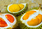Doğanın uyku hapı: Durian
