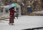 Doğu'da lapa lapa kar yağıyor