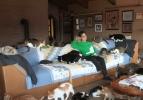 Evinde tam 1100 kedi besliyor!