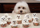 Görüntüsüyle doyuran birbirinden lezzetli cupcake